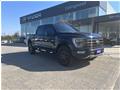 2022 Ford F-150 F150 Supercrew for sale 2022
Ford
F-150 F150 Supercrew